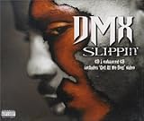 Disco de DMX: «Slippin'» (Anverso) Disco de DMX: «Slippin'» (Anverso)