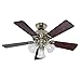 Hunter 53080 The Beacon Hill 42-Inch Ceiling Fan with Five Rosewood/Medium Oak Blades and Light Kit, Bright Brass
