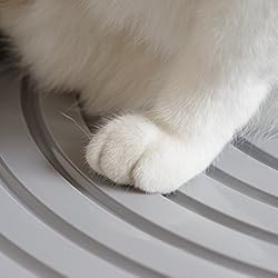 IRIS Top Entry Cat Litter Box with Cat Litter Scoop