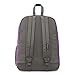 JanSport JS0A3EN23P0 Digibreak Laptop Backpack, Vivid Lilac