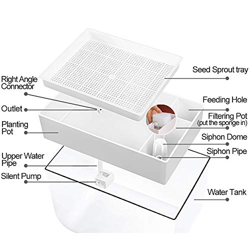 Aquaponic Fish Tank Grow Plants Seed Sprouter Wheatgrass Sprouts Hydroponic Cleaning Ecosystem Water Garden Fish Tank (White) - Thumbnail 3