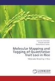 Image de Molecular Mapping and Tagging of Quantitative Trait Loci in Rice: Molecular Breeding in Rice