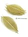 NAVA CHIANGMAI Rubber Tree Leaves - Pack of 100 Skeleton Leaves Decorative DIY Craft , Artificial Leaves Craft Card Scrapbook DIY Handmade Embellishment Decoration Art (Gold)