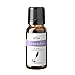 ArOmis Essential Oil Kit - Organic - Pure Therapeutic Grade - Undiluted Premium 150 Micron Filtered for Nebulizer Use (0.34 Fl Oz (Pack of 6), Basic Kit)