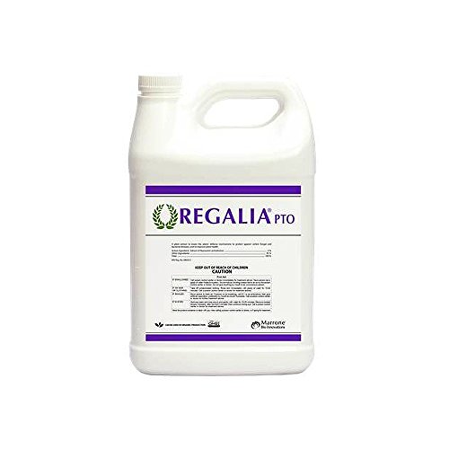 Marrone Bio Innovations Regalia Fungicide PTO (1 Gal)