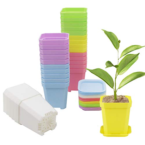 Square Nursery Pots with Saucers
