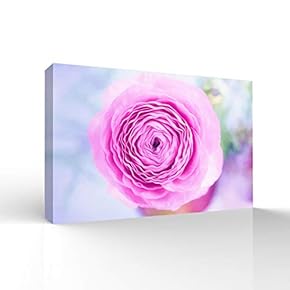 Canvas Wall Art Beautiful Flowers Pictures Home Wall Decorations for Bedroom Living Room Paintings Canvas Prints Framed - 12x18 inches