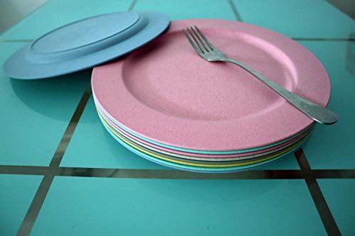 image for OLOEY 10inch/5pcs Dishwasher & Microwave Safe Wheat Straw Plates - Lig