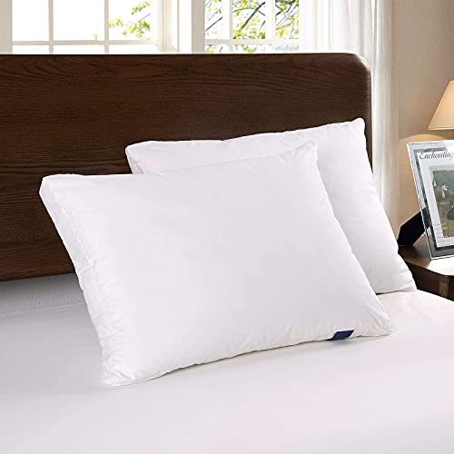 ACCURATEX Premium Bed Pillows Standard Size Set of 2, Shredded Memory