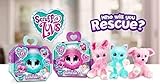 Scruff-a-Luvs Mystery Rescue Pet - Aqua + Pink (2 Pack)