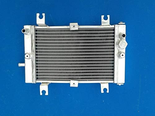 Aluminum Radiator For Can-Am CAN AM DS250 DS 250 2006-2012 07 08 2009 2010 2011