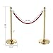 Smonet Round Top Polished Brass Stanchion Posts Queue Barrier, Pack of 2 Posts with a 6.5' Red Velvet Rope, Gold