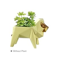 HomeBerry Succulent Cactus Planter Flower Pot Lion Figurine Sculpture Animal Statue Home Decor Gift Decoration Hand Painted Polyreisn 15cmL