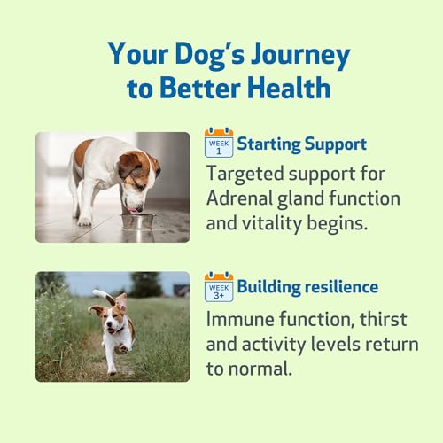 Pet Wellbeing - Adrenal Harmony Gold for Dogs - Natural Support for Adrenal Dysfunction and Cushing's - 2 oz (59 ml)