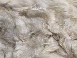 Organic Kapok Fiber - Natural - by The Pound