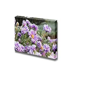 Flower with Hoarfrost in Autumn Wall Decor