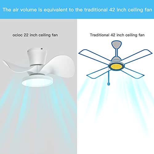 TALOYA 22 inch Ceiling Fan with 3 Color Temperatures Light and Remote