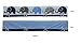 Bacati 10-Piece Elephants Nursery-in-A-Bag Crib Bedding Set with Long Rail Guard, Blue/Grey