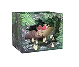 Studio Ghibli Characters Dimensional Cards Diorama 4 Types Limited Edition - My Neighbor Totoro, Kiki's Delivery Service, Spirited Away, Ponyo on the Cliff By the Sea (My Neighbor Totoro)