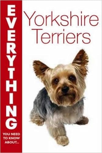 Yorkshire Terriers (Everything You Need to Know About... S)  �y�[�p�[�o�b�N - 2005/8/26