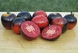 Indigo Rose Tomato Seeds- Organic- Purple/Blue Cherry Variety- 25+ Seeds