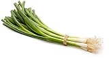 Organic Green Onion (Scallions), One Bunch