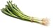 Organic Green Onion (Scallions), One Bunch primary