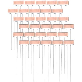 Foraineam 30 Pack 10