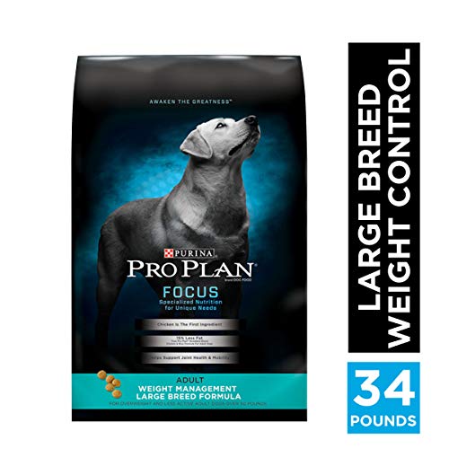 Best Weight Management Dog Food for Large Breeds (Our Top 6 Picks) 2021