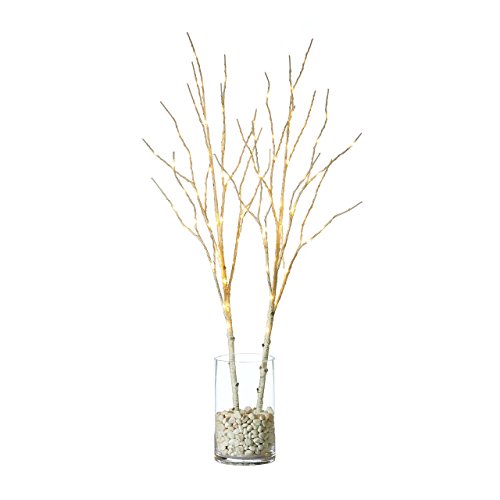 Hairui Lighted Artificial Twig Birch Tree Branch With Fairy Lights 32IN