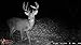 Wildgame Innovations Crush Cell 8 Lightsout Digital Trail Camera, Realtree Xtra