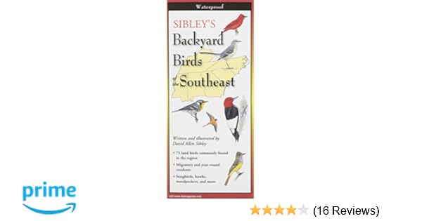 Sibley S Backyard Birds Of The Southeast Foldingguides David