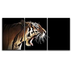 3 Panel Canvas Wall Art - A Tiger on Black Background - Giclee Print Gallery Wrap Modern Home Art Ready to Hang - 16"x24" x 3 Panels