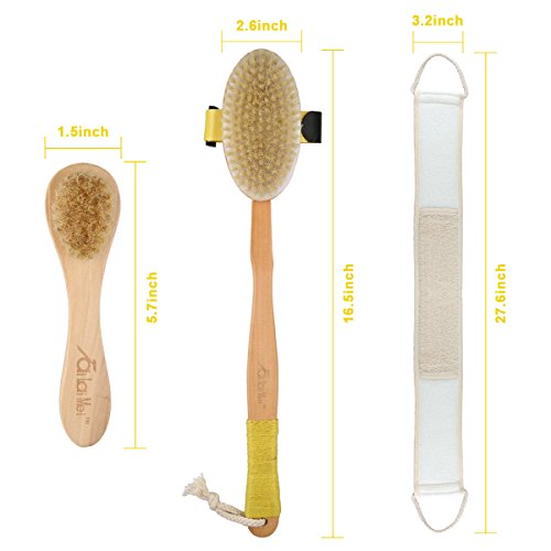 Dry Brushing Body Brush Set, Includes Loofah Back Scrubber, Natural Boar Bristle Bath Shower