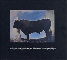 Le  daguerréotype français