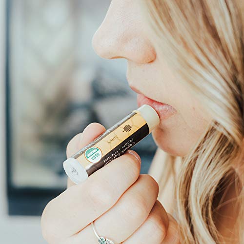 Organic Lip Balm Gift Set 12 Tubes Flavored Lip Balm for Dry Cracked