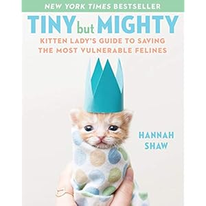 Tiny But Mighty: Kitten Lady’s Guide to Saving the Most Vulnerable Felines