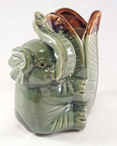 Lucky Bamboo elephant leaf - Ceramic Vase Quality unique from Jmbamboo