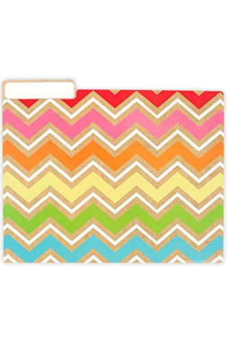 Renewing Minds #TooCute Patterns & Words File Folders, Letter Size, Pack of 12 - Thumbnail 4