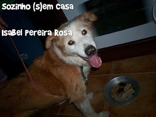 Livro Sozinho (s)em Casa