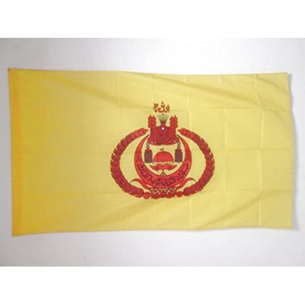 AZ FLAG - Royal Standard of Brunei Flag - 3x5 Ft - Bruneian Kingdom Banner with Sleeve - 100% Polyester - Fade Resistant - Vivid Colors - 3' x 5' Feet - 150x90 Cm