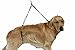 No Sit Haunch Holder Dog Grooming Harness Leash Loop for Medium/Large Dogs Pet