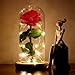 Nalosun Beauty and The Beast Rose Enchanted Red Silk Rose with Fallen Petals in Glass Dome on a Wooden Base Best Gift for Her,Mothers Day Valentine's Day Wedding Anniversary (A:Red Silk Rose)
