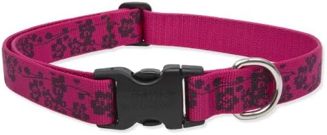 lupine dog collars and leads uk