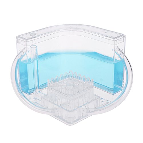 Qupida 3D Ant Farm Educational Maze Live Feeding System Ants Habitat World Pet Villa,Ant Works Castle Experiment (BL)