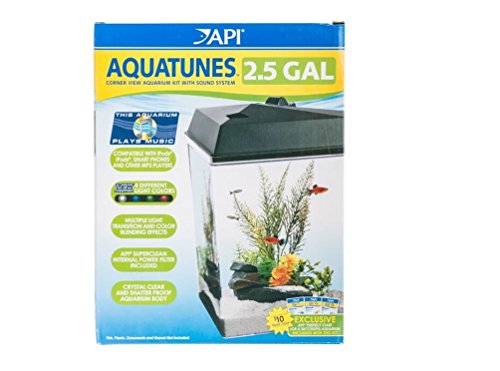 corner view aquarium