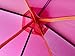 Princess Castle Tent | Indoor & Outdoor | Your Kids Will Enjoy This Foldable Toy with Carry Bag, Pink