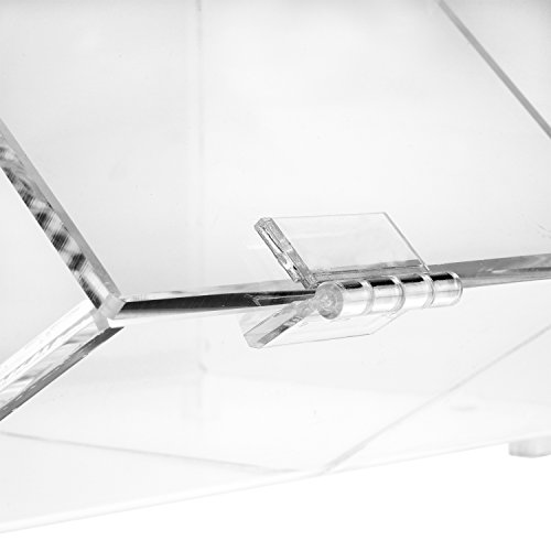 Ikee Design Acrylic Display Case Storage w/ A Hinged, Slanted Door & A Divider, 2 Compartments