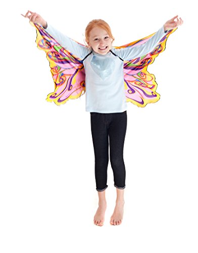 Rainbow Fairy Wings with Glitter
