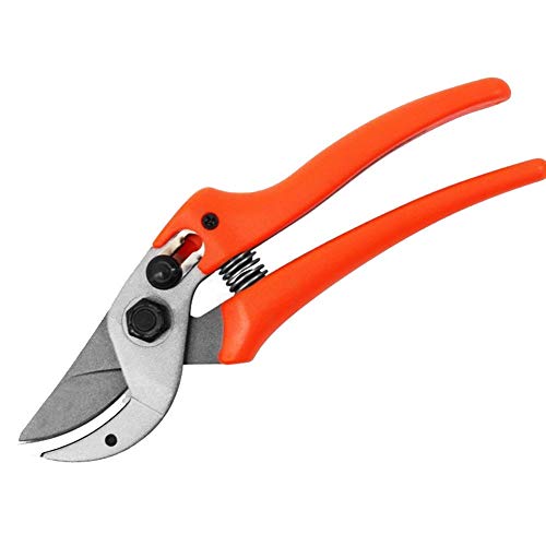 Flame bird Professional Bypass Pruning Shears,Anvil Pruner, Pruning Shears,Hand pruners,pruners for Garden, Garden Clippers,Fruit Tree Shears,Rose Pruning Shears